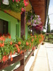 DSC05954