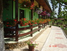 DSC05955
