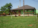 DSC05963