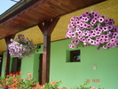 DSC06009