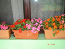 DSC06064