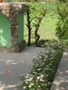 DSC06090