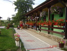 DSC06204