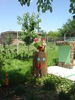 DSC06251