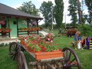 DSC06297