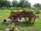 DSC06304