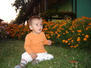 DSC06416