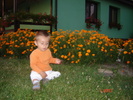 DSC06417