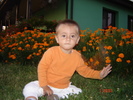 DSC06418