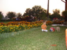 DSC06421