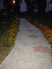 DSC06453