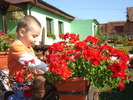 DSC06638