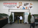 Expo Galati -pagina -dodevasile