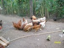 SANY5319