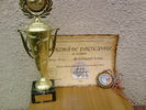diploma de participare 2010 Breaza