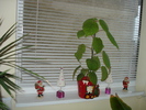 4 DECEMBRIE 2010