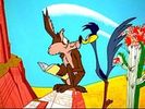 Road Runner and Wile E Coyote