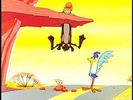 Road Runner and Wile E Coyote