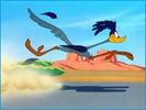 Road Runner and Wile E Coyote