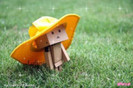 DANBO
