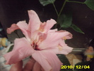 Picture 005