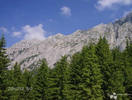 medii-piatra-craiului-3