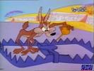 Road Runner and Wile E Coyote