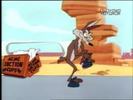 Road Runner and Wile E Coyote