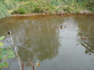 DSC05760