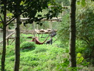 DSC05766