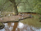 DSC05775