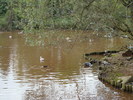 DSC05776