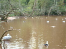 DSC05778