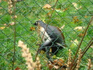 DSC05792