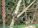 DSC05794