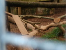 DSC05800