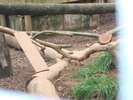 DSC05801