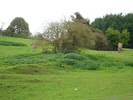 DSC05803