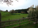 DSC05804