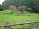 DSC05806