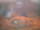 DSC05811
