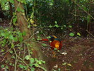 DSC05829