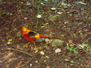 DSC05830