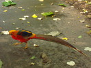 DSC05831