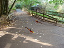 DSC05832