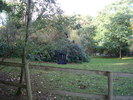 DSC05835