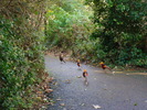 DSC05838