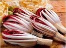 Radicchio