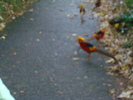DSC05839