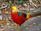 DSC05847
